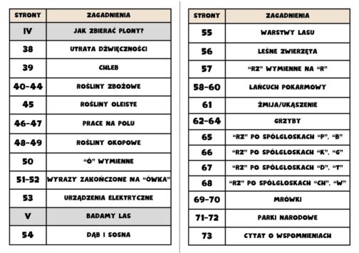 Lokomotywa | Wklejki do klasy 3 | Część 1 | 111 stron A4 PDF - obrazek 5