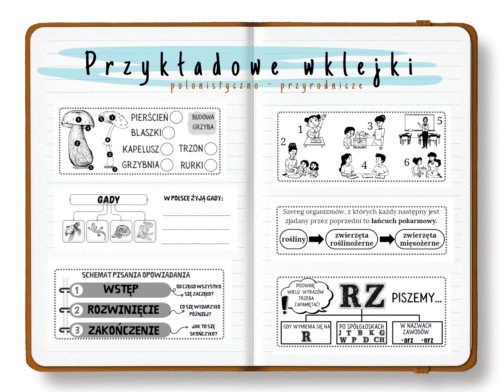 Ale to ciekawe | Wklejki do klasy 3 | Część 1 | 114 stron A4 PDF - obrazek 2