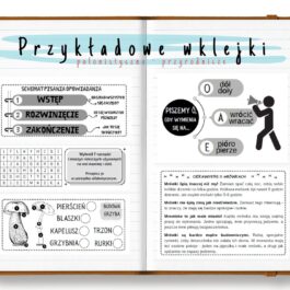 Lokomotywa | Wklejki do klasy 3 | Część 1 | 111 stron A4 PDF