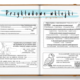 Szkoła Na Tak | Wklejki do klasy 3 | Część 4 | 91 stron A4 PDF